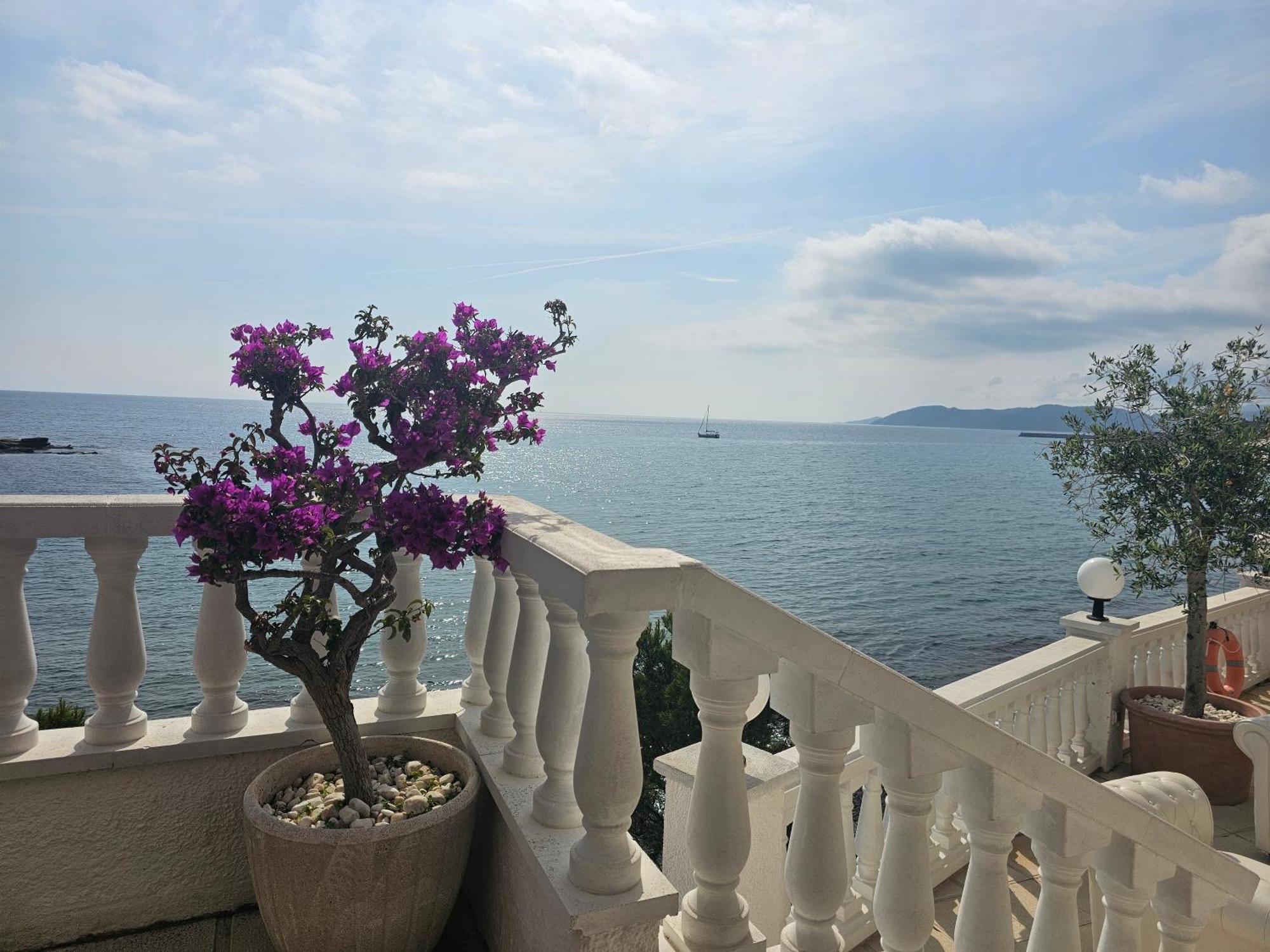 Hotel Grifeu Llança Dış mekan fotoğraf